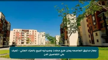 جهاز حدائق العاصمة يعلن طرح محلات وصيدلية للبيع بالمزاد العلني – تعرف على التفاصيل الآن